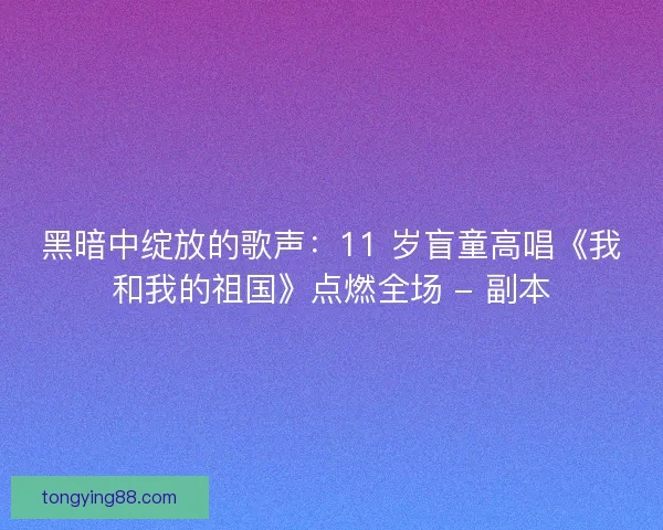 黑暗中绽放的歌声：11 岁盲童高唱《我和我的祖国》点燃全场 - 副本