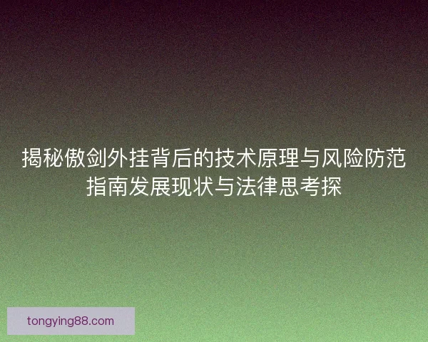 揭秘傲剑外挂背后的技术原理与风险防范指南发展现状与法律思考探