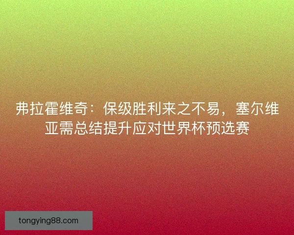 弗拉霍维奇：保级胜利来之不易，塞尔维亚需总结提升应对世界杯预选赛