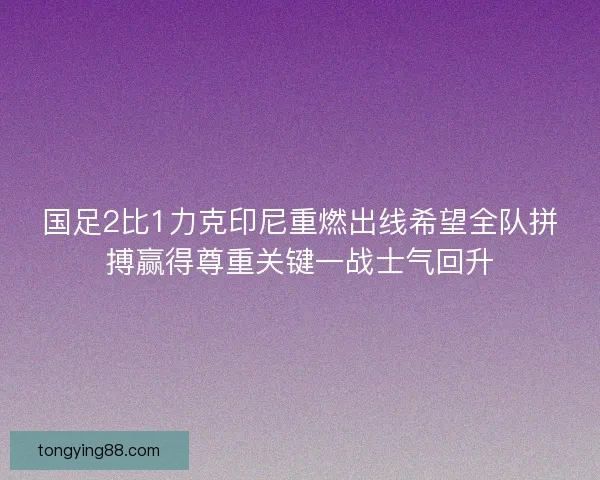 国足2比1力克印尼重燃出线希望全队拼搏赢得尊重关键一战士气回升 国足2比1力克印尼重燃出线希望全队拼搏赢得尊重关键一战士气回升